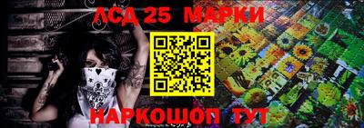 крисы Краснодар