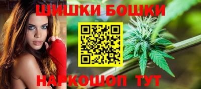 крисы Краснодар