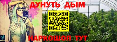 крисы Краснодар