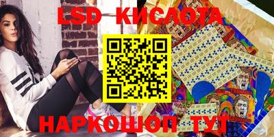 крисы Краснодар