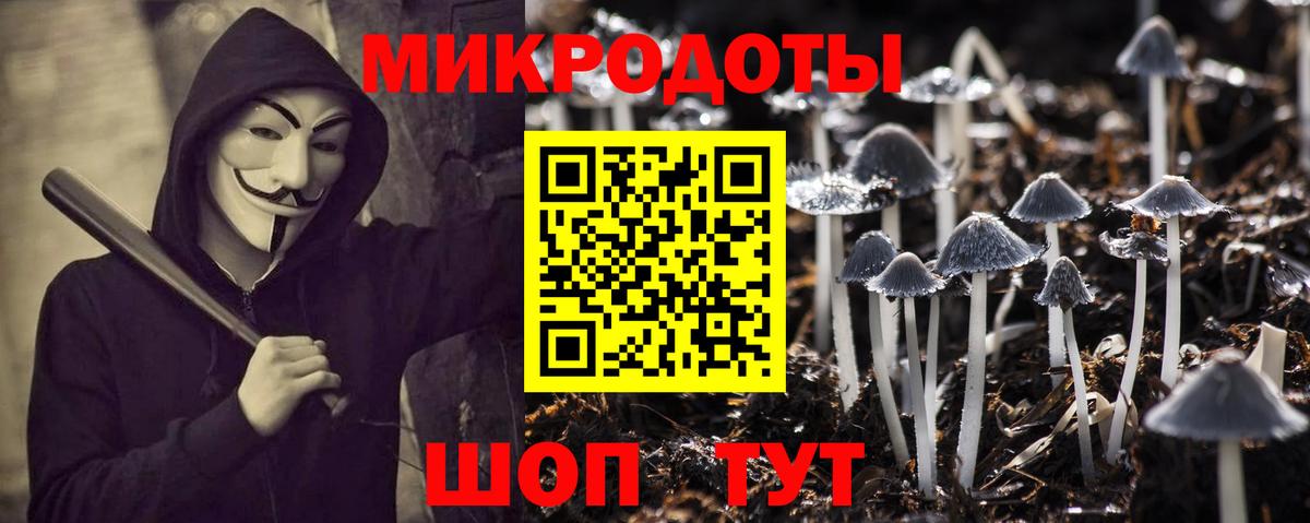 Псилоцибиновые грибы Psilocybine cubensis Чебаркуль